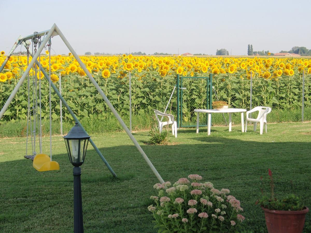 Il Frattiero B&B Voghenza Cameră foto